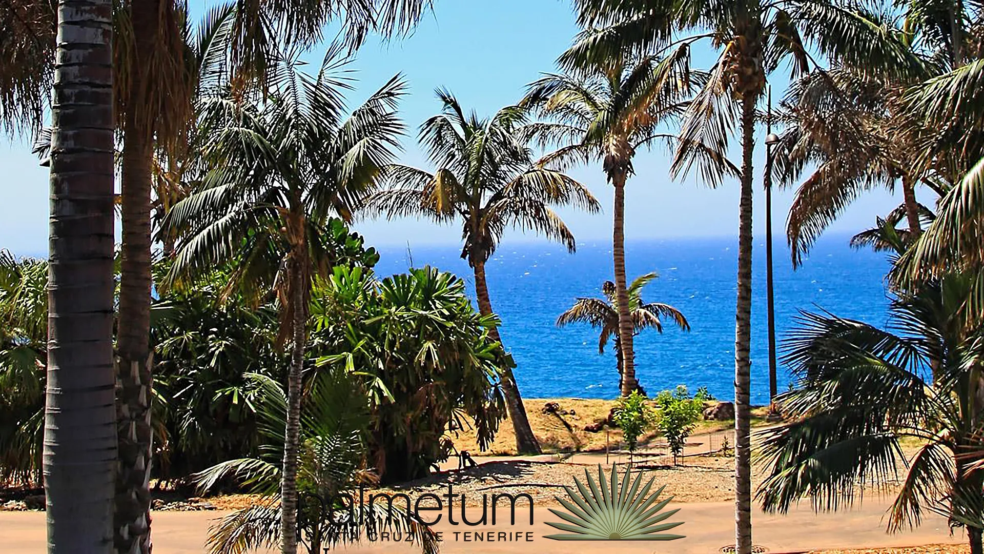 Hotel Adonis Plaza Santa Cruz de Tenerife